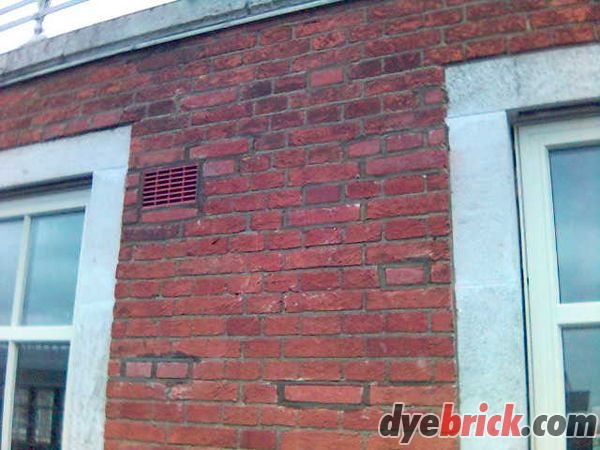 Picture_107_.jpg