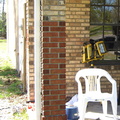 dyed-2006.jpg