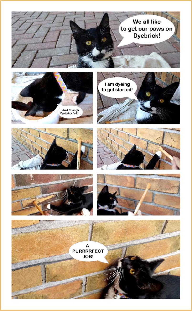 Cats love Dyebrick!